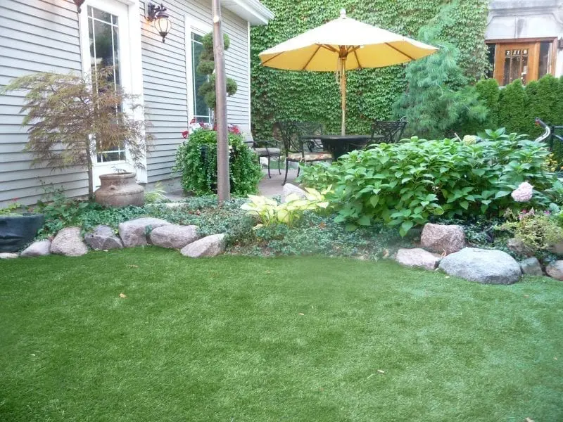 synthetic turf xeriscape